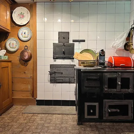 Beatli Domek alpejski Wildhaus