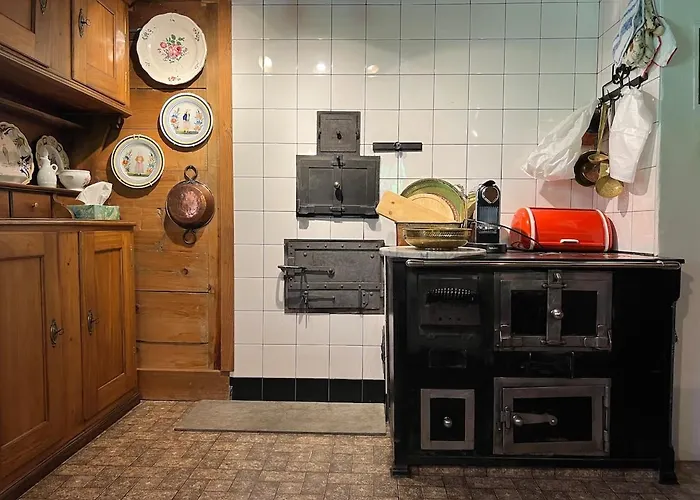 Beatli Domek alpejski Wildhaus